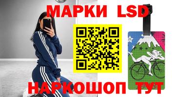 apvp Нальчик