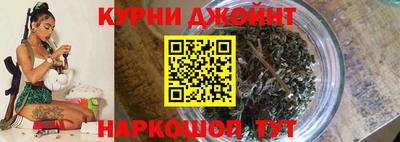 apvp Нальчик