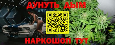 прущие грибы Балахна