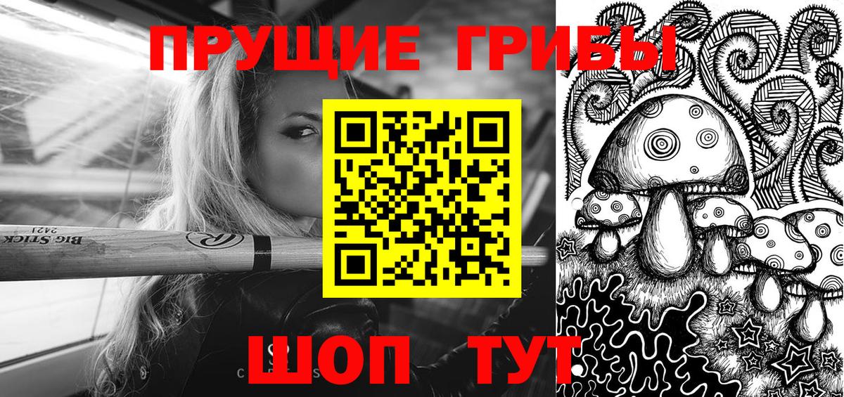 Псилоцибиновые грибы Psilocybine cubensis  Псилоцибиновые грибы GOLDEN TEACHER  Долгопрудный 