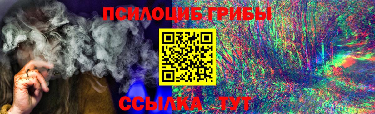 Галлюциногенные грибы GOLDEN TEACHER  Псилоцибиновые грибы GOLDEN TEACHER  Вход с VPN  Долгопрудный 