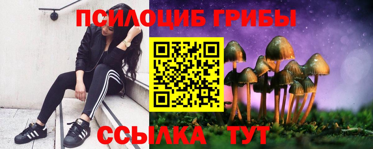 Псилоцибиновые грибы Magic Shrooms Долгопрудный